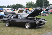 Firebird